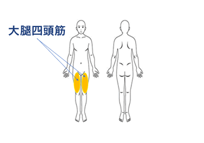 レッグエクステンションで鍛える部位