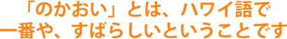 「のかおい」とは、ハワイ語で一番や、すばらしいということです